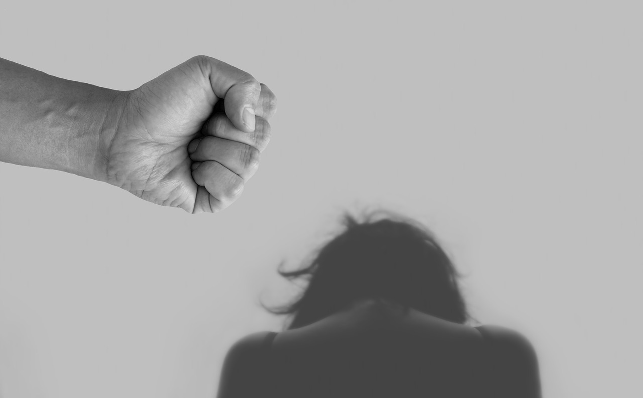 Violence Against Women Domestic  - Tumisu / Pixabay