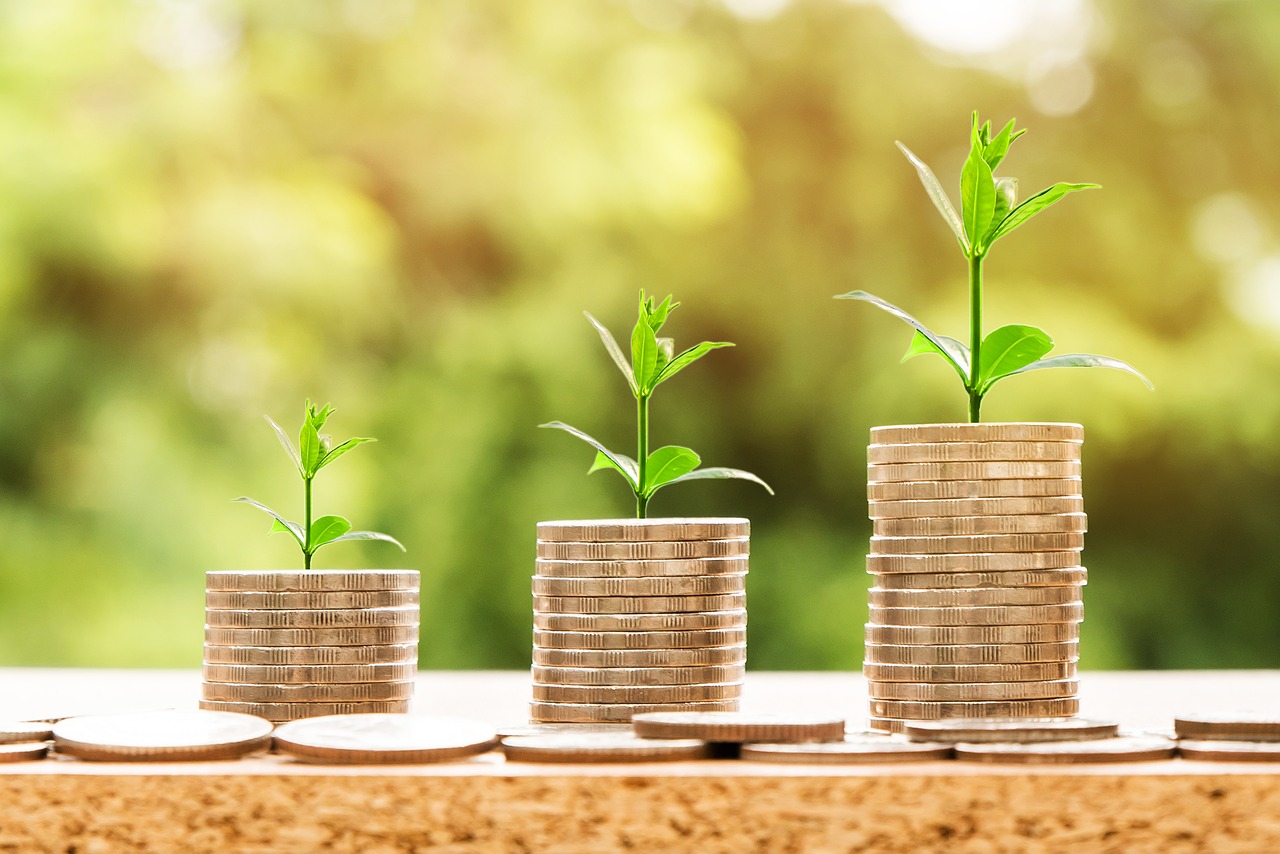 Money Profit Finance Business  - nattanan23 / Pixabay